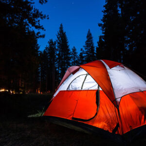 Wilderness Survival Skills: Camp Alarms Image